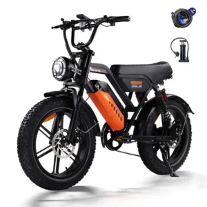 AVDLEU Vélo Électrique Tout Terrain - Roues 20"*4 - 250W - Batterie 48V 15.6Ah - Autonomie 60-120km